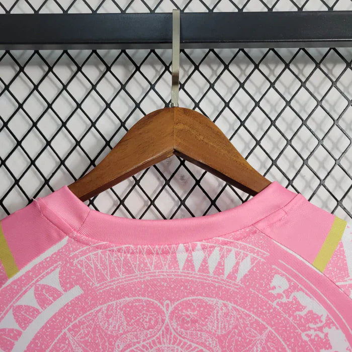 Italy Pink Renaissance Jersey