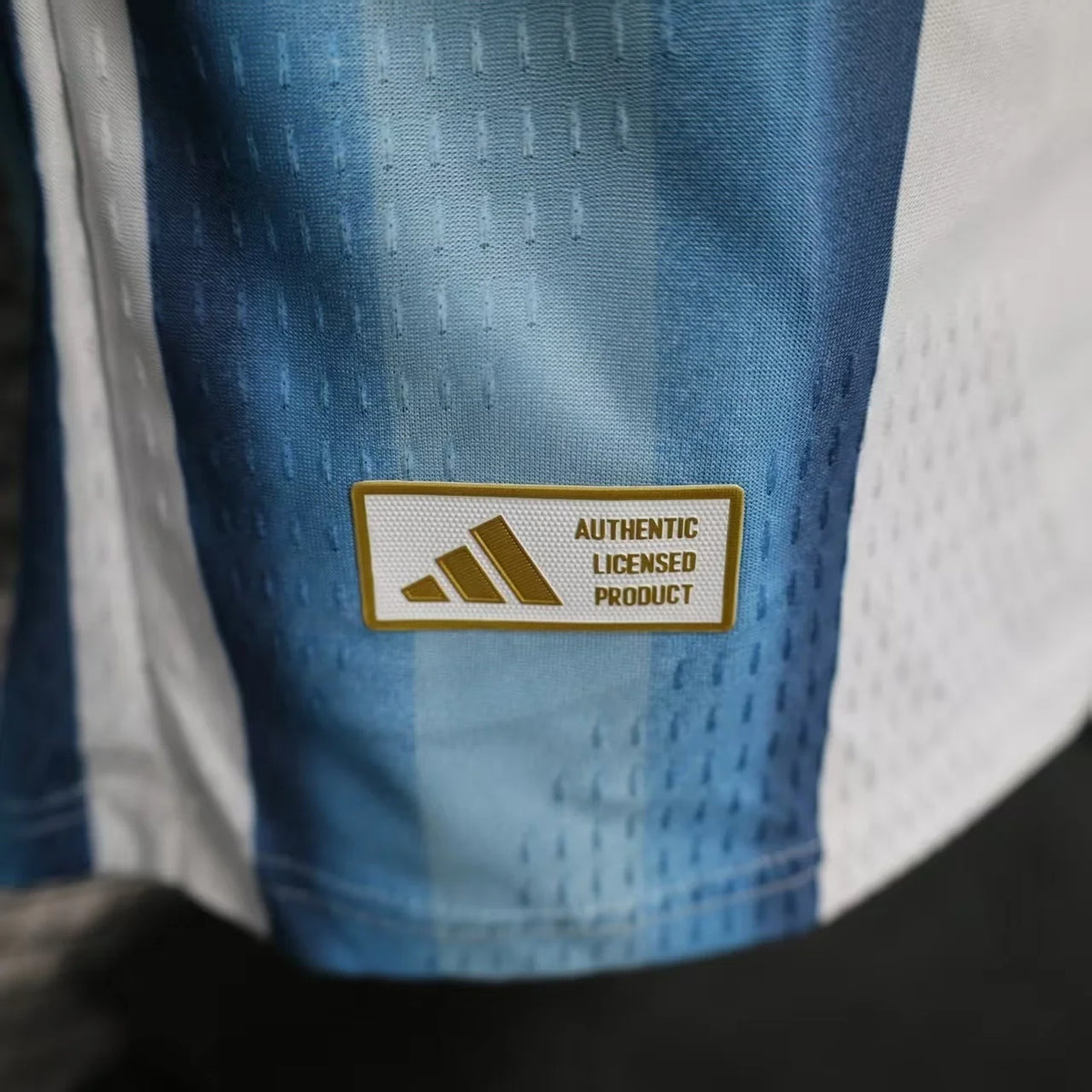 Argentina 2026 Home Long Sleeve Player Jersey