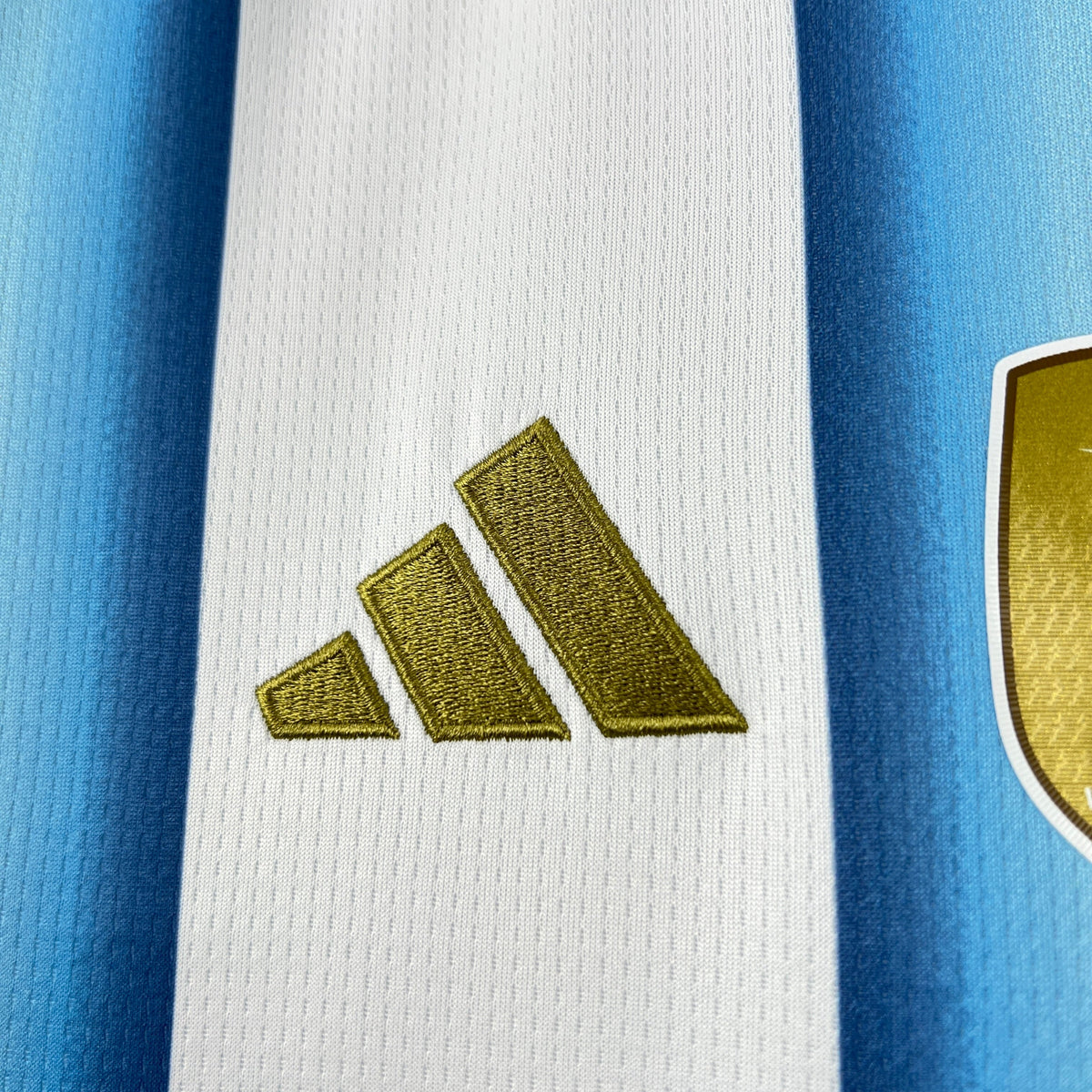 Argentina 2026 Home World Cup Women Jersey
