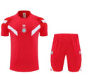 Bayern Munchen 2025/2026 Training Set
