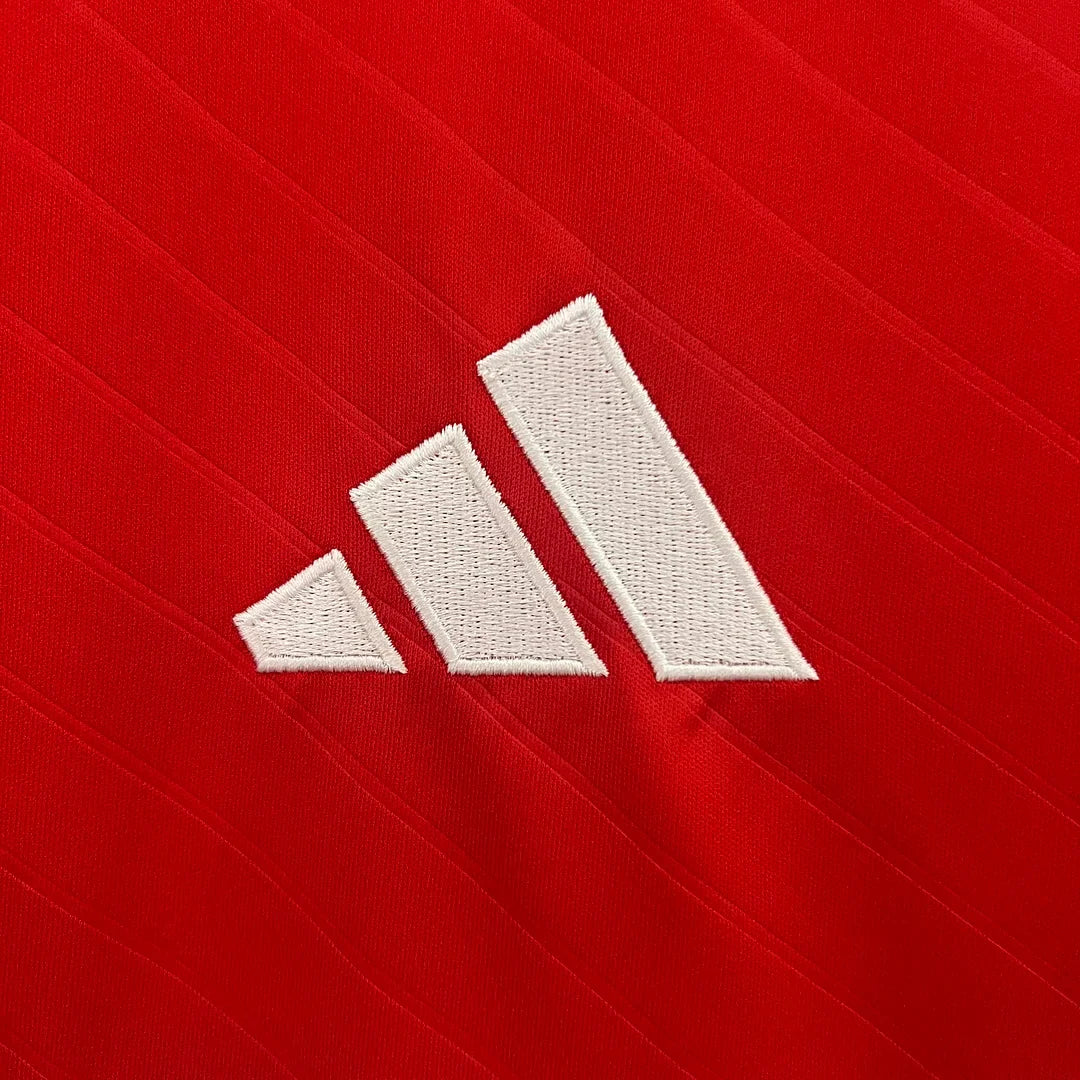 Benfica 2024/2025 Home Jersey