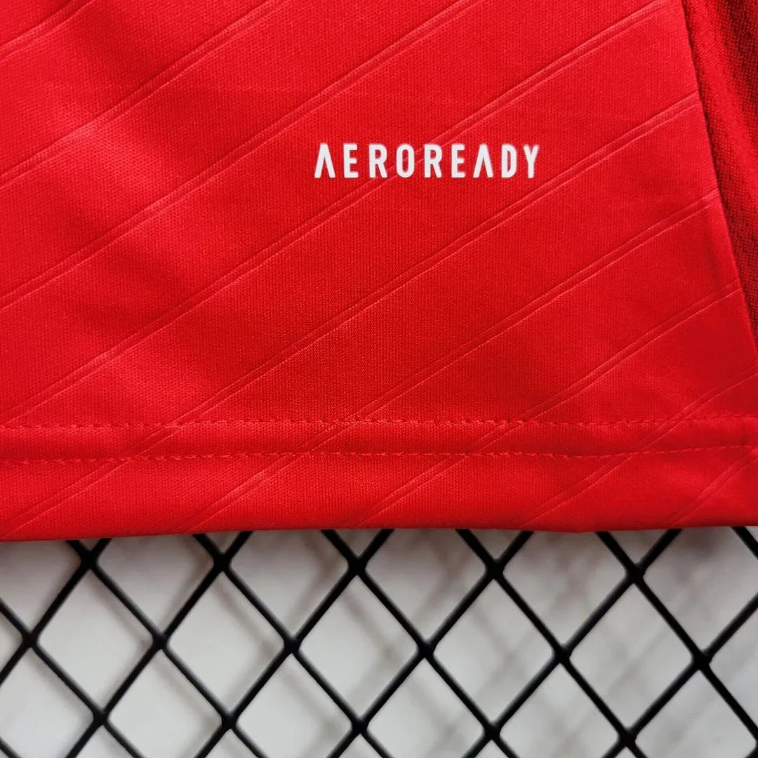 Benfica 2024/2025 Home Jersey
