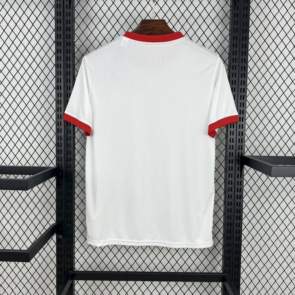 Benfica 2025/2026 Anniversary Jersey