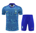 Brazil 2024/2025 Training Set