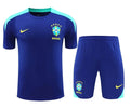 Brazil 2024/2025 Training Set