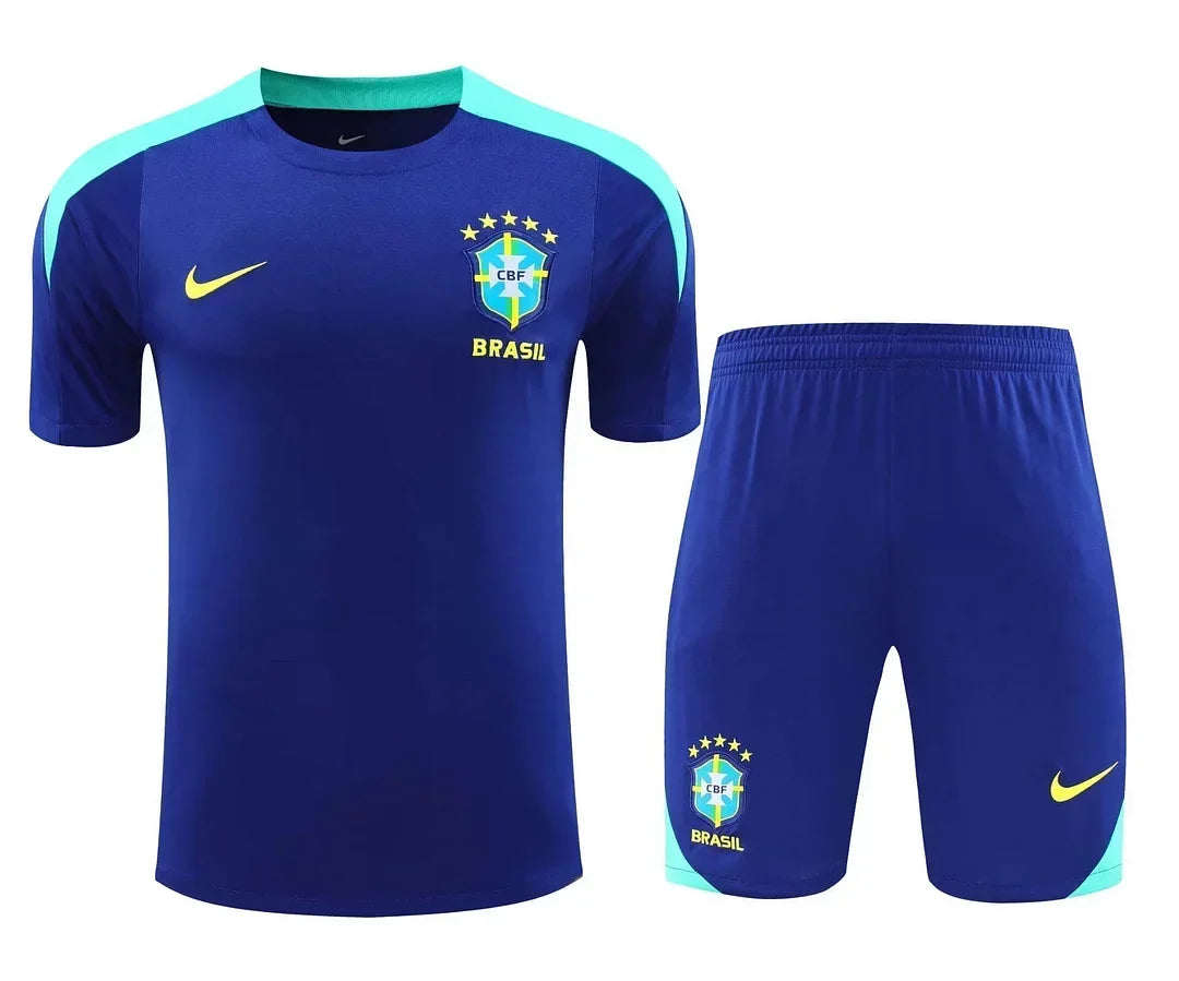Brazil 2024/2025 Training Set