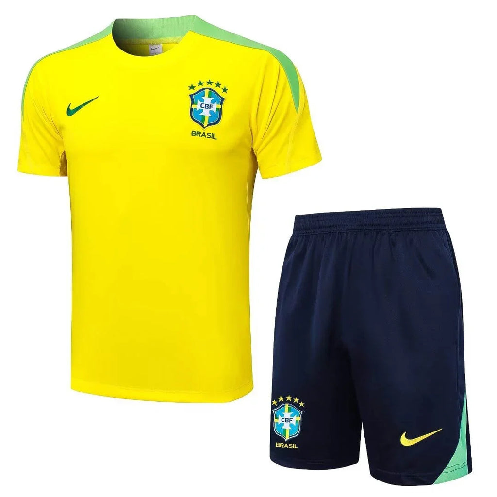 Brazil 2024/2025 Training Set