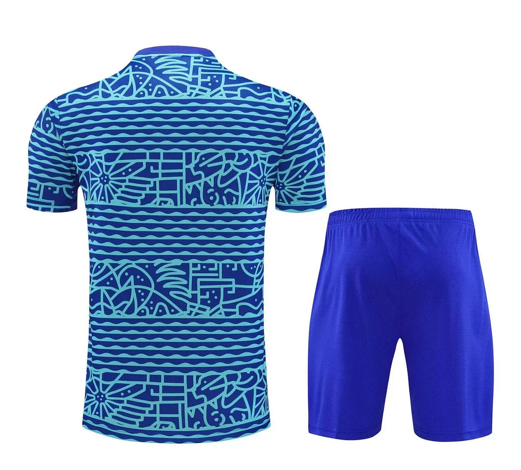 Brazil 2024/2025 Training Set