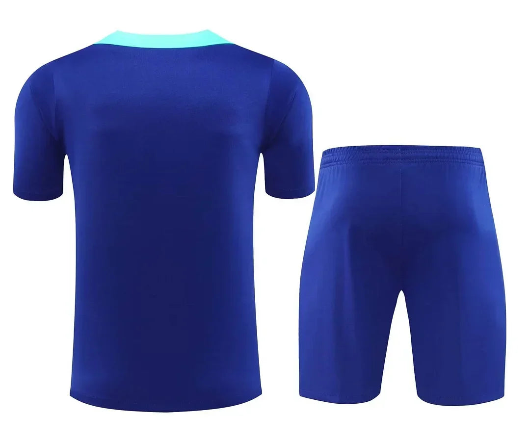 Brazil 2024/2025 Training Set