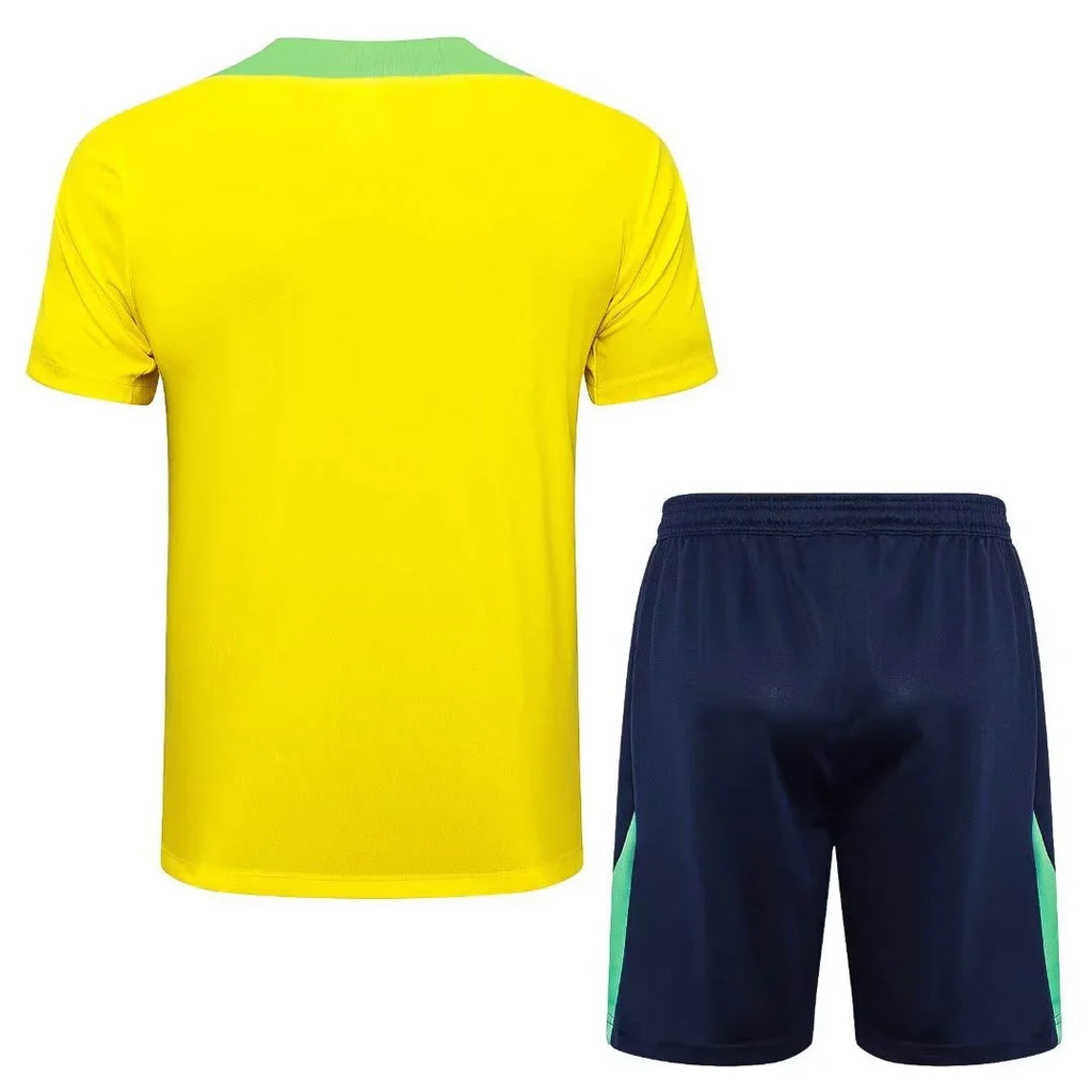 Brazil 2024/2025 Training Set