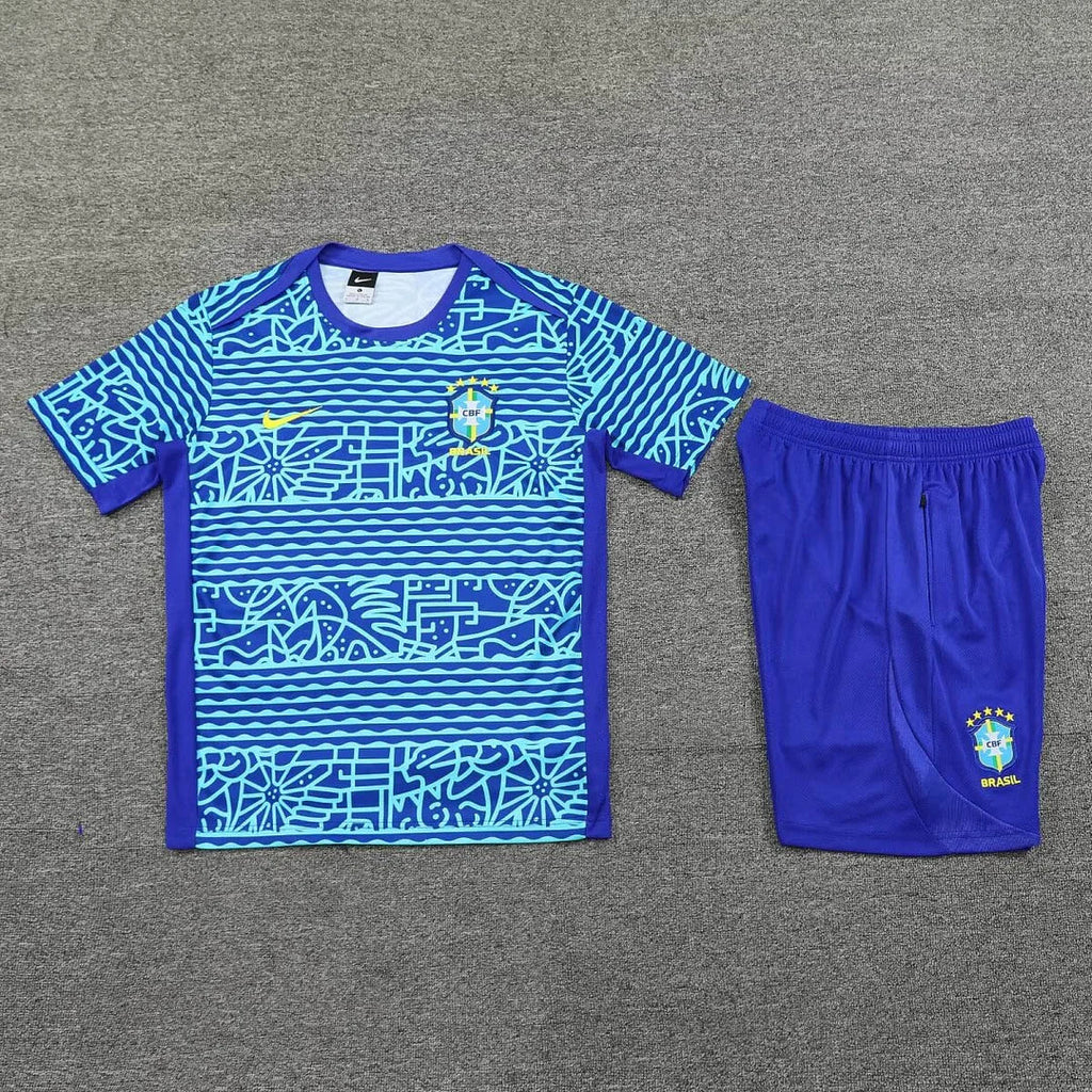 Brazil 2024/2025 Training Set
