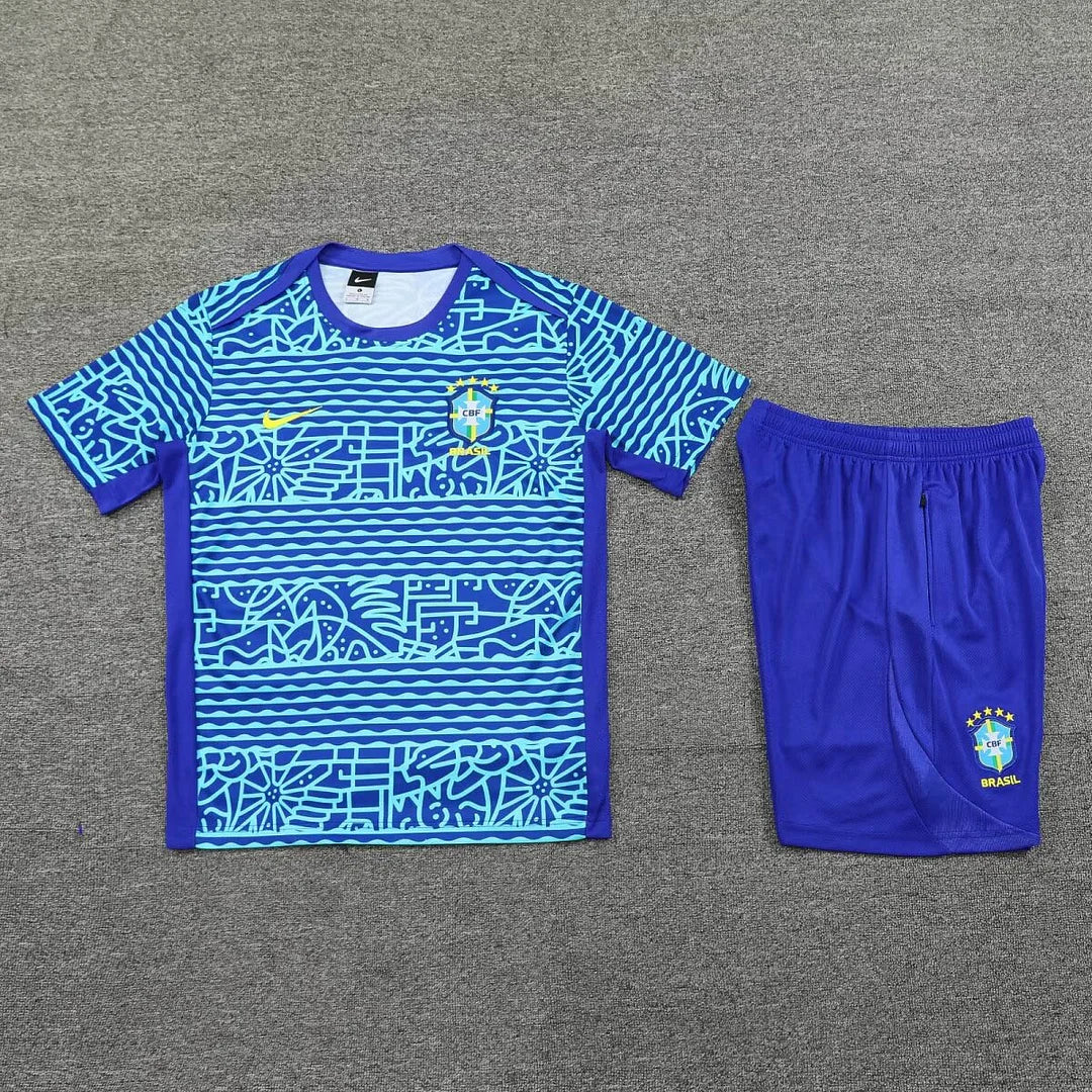 Brazil 2024/2025 Training Set