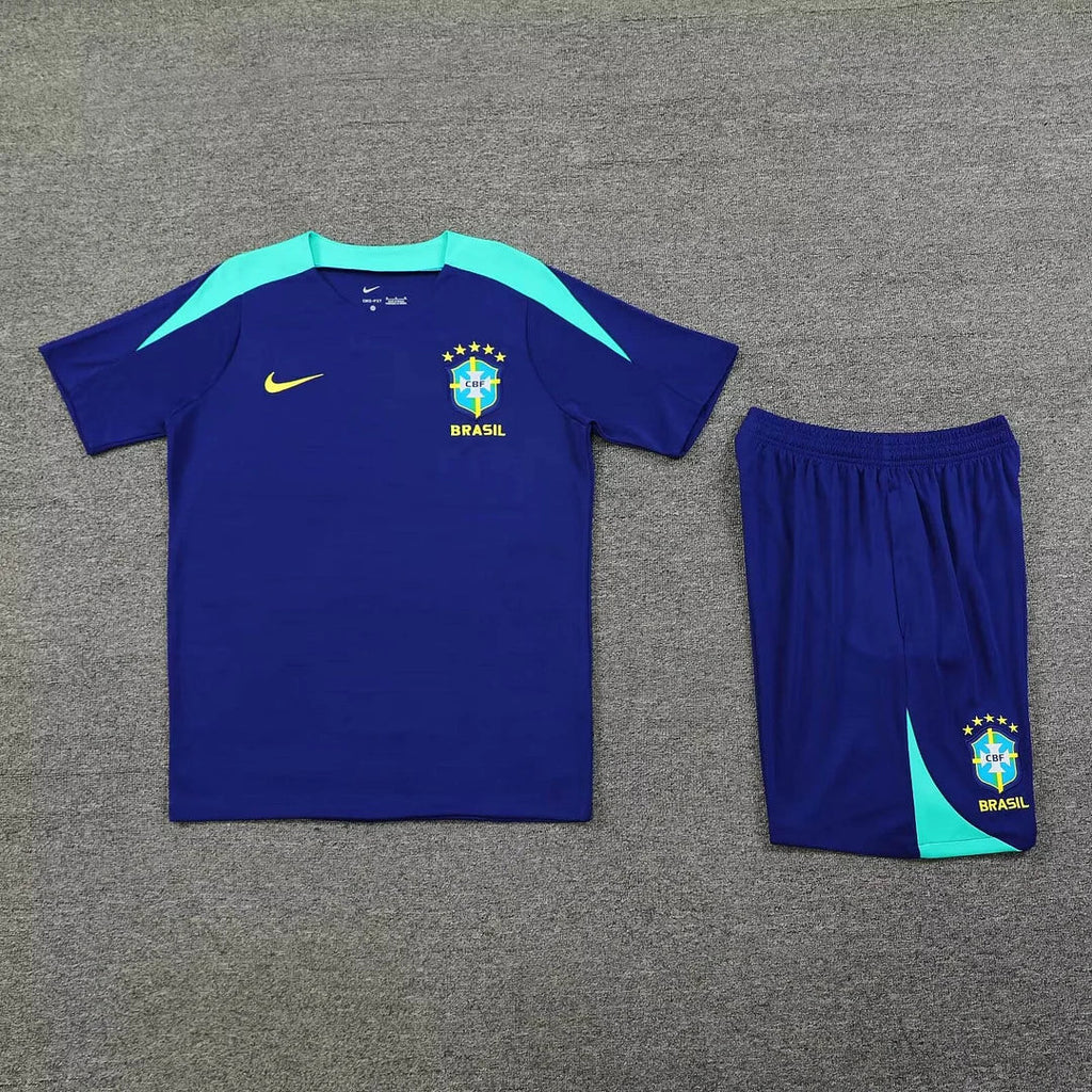 Brazil 2024/2025 Training Set