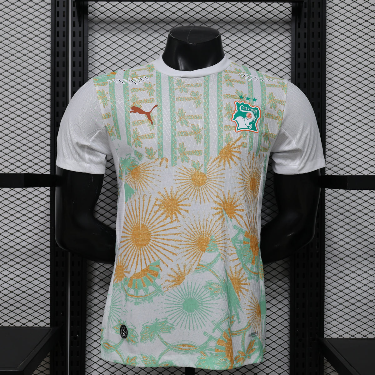 Cote d'Ivoire 2026 Away Player Jersey