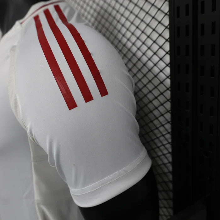 Japan 2024/2025 Away Jersey